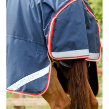 Load image into Gallery viewer, Buster 100g Turnout Rug with Snug-Fit Neck Cover