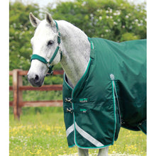 Load image into Gallery viewer, Buster 200g Turnout Rug with Snug-Fit Neck Cover
