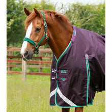 Load image into Gallery viewer, Buster 200g Turnout Rug with Snug-Fit Neck Cover