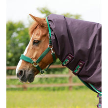 Load image into Gallery viewer, Buster 200g Turnout Rug with Snug-Fit Neck Cover