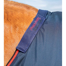 Load image into Gallery viewer, Buster 250g Turnout Rug with Classic Neck Cover