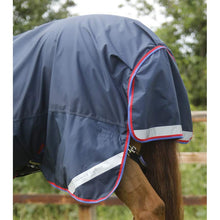 Load image into Gallery viewer, Buster Hardy 0g Half Neck Turnout Rug