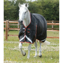Load image into Gallery viewer, Buster Hardy 100g Half Neck Turnout Rug
