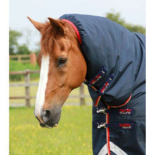 Load image into Gallery viewer, Buster Storm 200g Combo Turnout Rug with Snug-Fit Neck