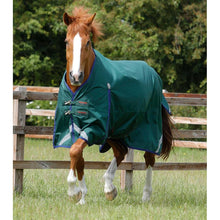 Load image into Gallery viewer, Buster Zero Original Turnout Rug
