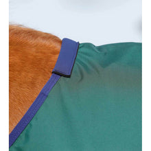 Load image into Gallery viewer, Buster Zero Original Turnout Rug