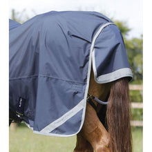Load image into Gallery viewer, Buster Zero Original Turnout Rug