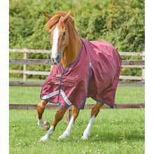 Load image into Gallery viewer, Buster Zero Original Turnout Rug
