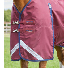 Load image into Gallery viewer, Buster Zero Original Turnout Rug
