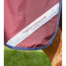 Load image into Gallery viewer, Buster Zero Original Turnout Rug