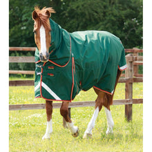 Load image into Gallery viewer, Buster Zero Turnout Rug with Classic Neck Cover