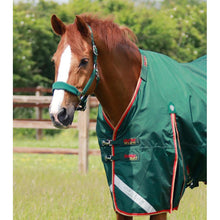 Load image into Gallery viewer, Buster Zero Turnout Rug with Classic Neck Cover