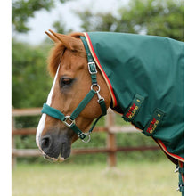 Load image into Gallery viewer, Buster Zero Turnout Rug with Classic Neck Cover