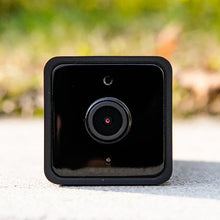 Load image into Gallery viewer, Equine Eye Voyager