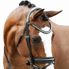 Load image into Gallery viewer, Melodie Classic Bridle (No reins)