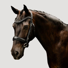 Load image into Gallery viewer, Arcadia Luxury Leather Bridle (Cavesson)