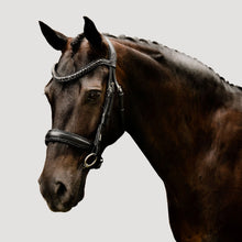 Load image into Gallery viewer, Arcadia Luxury Leather Bridle (Cavesson) (No reins)