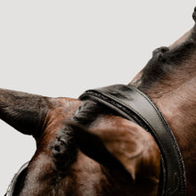 Load image into Gallery viewer, Arcadia Luxury Leather Bridle (Cavesson) (No reins)