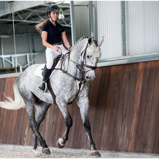 Antiqua 5 Point Breastplate - Black/Cob