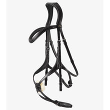 Load image into Gallery viewer, Glorioso Grackle Bridle (No reins)