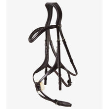 Load image into Gallery viewer, Glorioso Grackle Bridle (No reins)