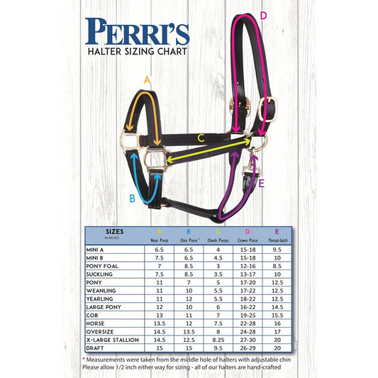 Premium 1" Leather Show Halter - Havana/Brass/Full Size