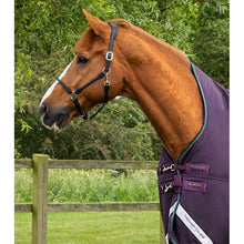 Load image into Gallery viewer, Buster Hardy 100g Half Neck Turnout Rug