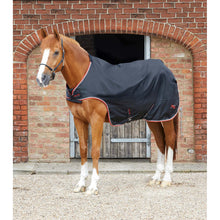 Load image into Gallery viewer, Horse Walker Rug 100g