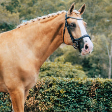 Load image into Gallery viewer, Mila Italian Leather Bridle (No reins)