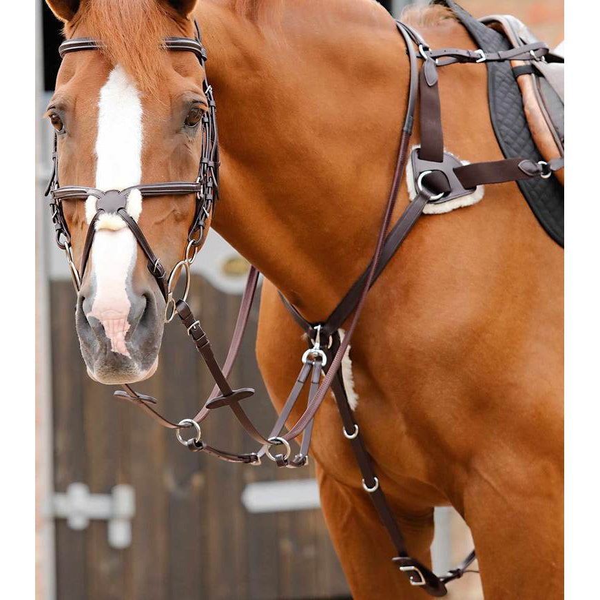 Invorio 5 Point Breastplate
