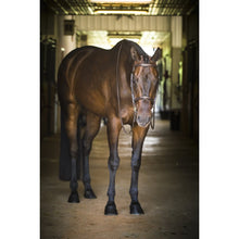 Load image into Gallery viewer, Professional Fancy Stitched Bridle