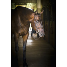 Load image into Gallery viewer, Professional Fancy Stitched Bridle