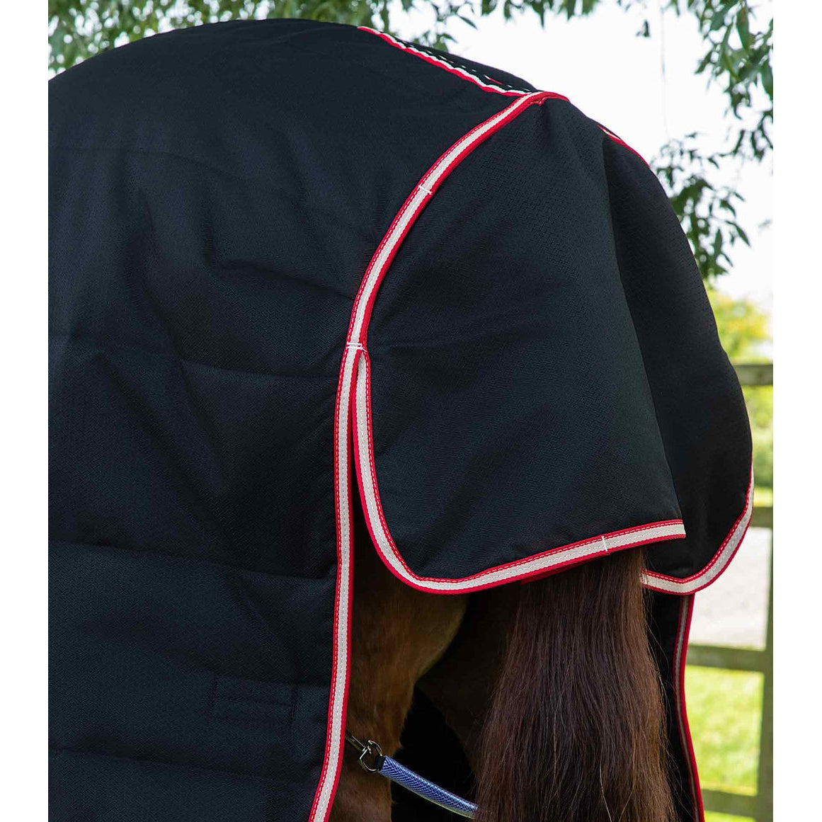 Lucanta Demi Stable 200g