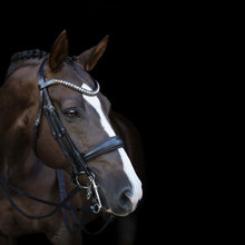 Load image into Gallery viewer, Athens Luxury Leather Bridle (Double) (No reins)