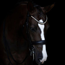 Load image into Gallery viewer, Athens Luxury Leather Bridle (Double) (No reins)