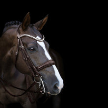 Load image into Gallery viewer, Athens Luxury Leather Bridle (Double) (No reins)