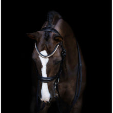 Load image into Gallery viewer, Athens Luxury Leather Bridle (Double) (No reins)
