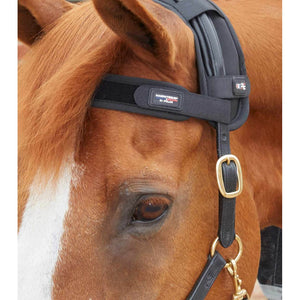 Magni-Teque Magnetic Browband
