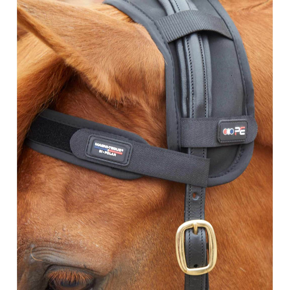 Magni-Teque Magnetic Browband