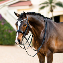 Load image into Gallery viewer, Amie Luxury Leather Bridle - (Double) (No reins)