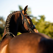 Load image into Gallery viewer, Amie Luxury Leather Bridle - (Double) (No reins)