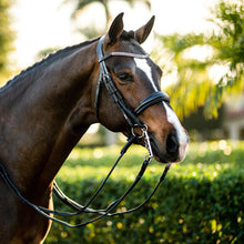 Load image into Gallery viewer, Amie Luxury Leather Bridle - (Double) (No reins)