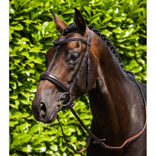 Load image into Gallery viewer, Verdura Anatomic Snaffle Bridle (No reins)
