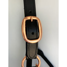 Load image into Gallery viewer, Black Leather Halter - Rose Gold Fittings with Engraved Horse Nameplate