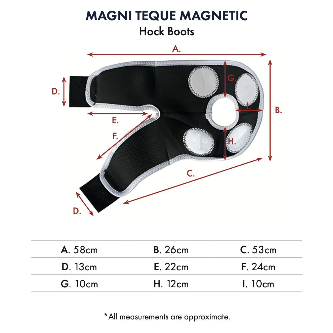 Magni-Teque Magnetic Hock Boots