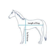 Load image into Gallery viewer, Combo Bug Buster Fly Rug with Belly Flap