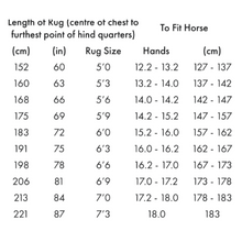 Load image into Gallery viewer, Combo Bug Buster Fly Rug with Belly Flap