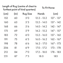 Load image into Gallery viewer, Buster 70g Turnout Rug with Classic Neck Cover