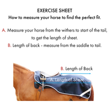 Load image into Gallery viewer, Horse Exercise Sheet