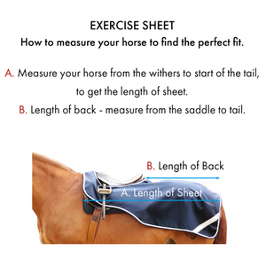 Horse Exercise Sheet